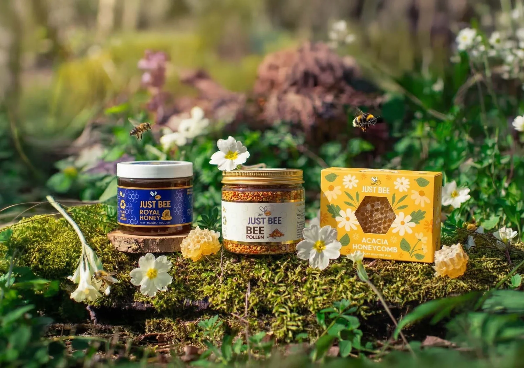 Welcome to Our Store